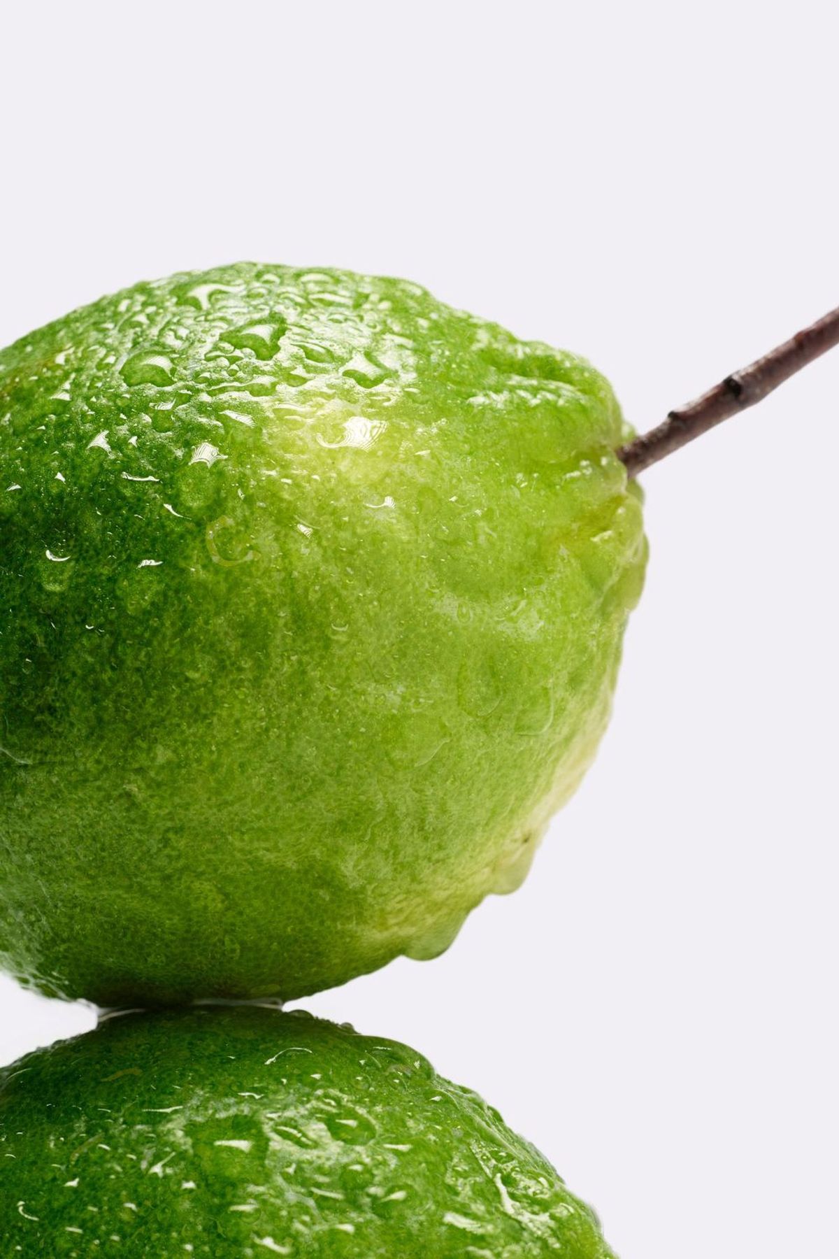 Fresh Lime scent inspiration